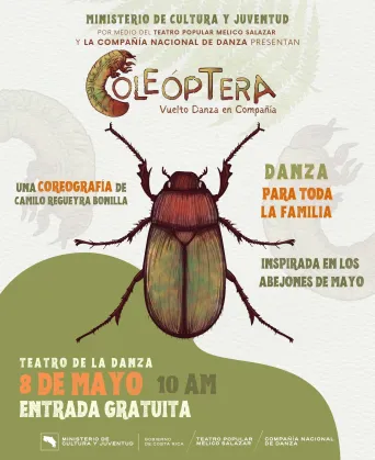 Coleóptera