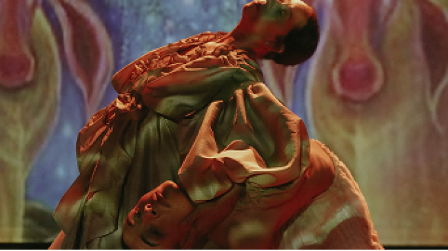 2Ministerio de Cultura y Juventud desarrollará actividades en honor a cuatro figuras de la cultura costarricense